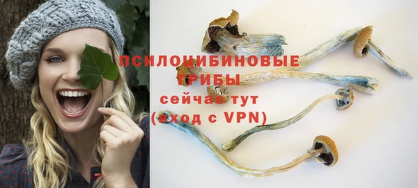 ГАЛЛЮЦИНОГЕННЫЕ ГРИБЫ Дмитриев